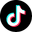 TikTok Logo